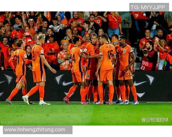 2013年西班牙与爱尔兰激战回顾：足球盛宴中的精彩瞬间与战术分析