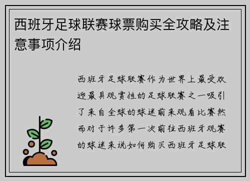 西班牙足球联赛球票购买全攻略及注意事项介绍